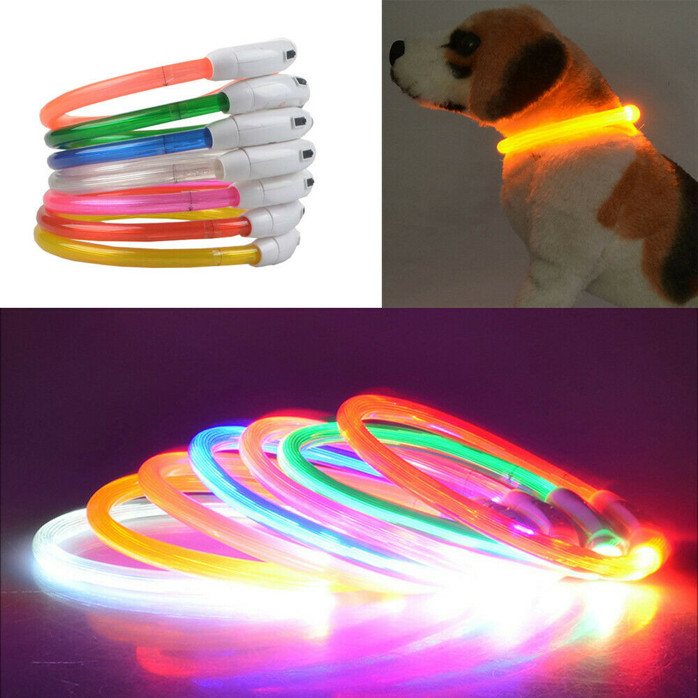 متعدد الألوان LED كلب طوق القط - مراجعة Led Dog Collar Glowing Rechargeable Usb وسعره