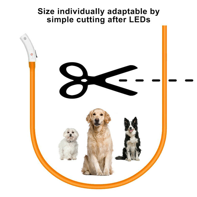 متعدد الألوان LED كلب طوق القط - مراجعة Led Dog Collar Glowing Rechargeable Usb وسعره