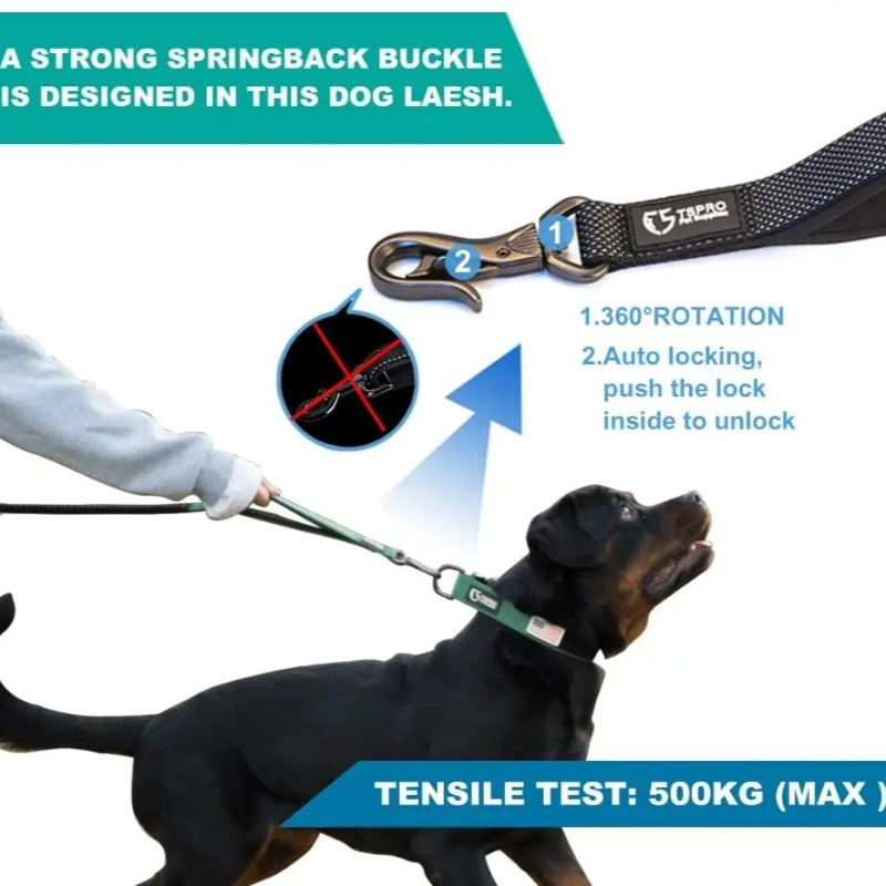 حزام خصر ممتص للصدمات مع حبل م - مراجعة Hands Free Dog Running Leash Waist Belt وسعره