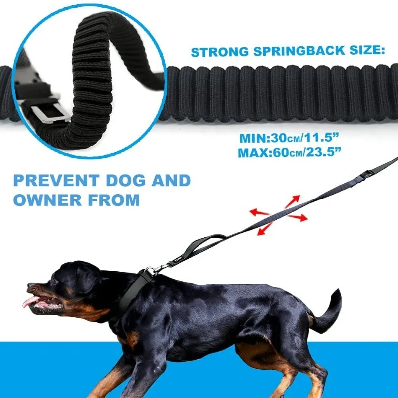 حزام خصر ممتص للصدمات مع حبل م - مراجعة Hands Free Dog Running Leash Waist Belt وسعره