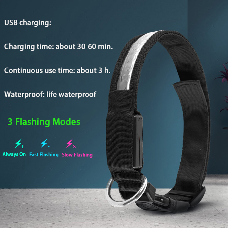 محفورة معرف LED طوق بكلاب مضيئ - مراجعة Reflective Dog Collar Personalized Engraved وسعره
