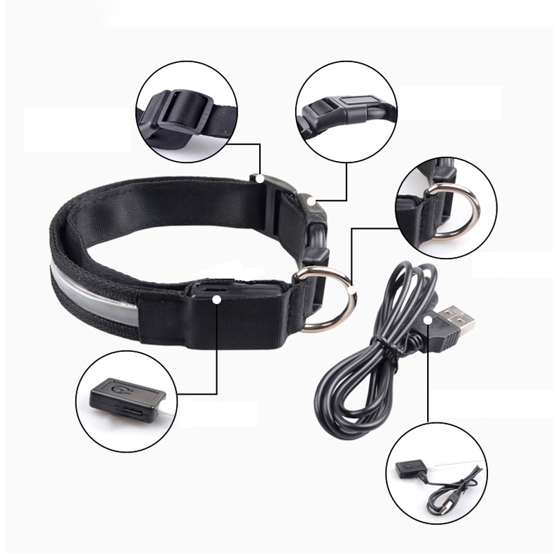 محفورة معرف LED طوق بكلاب مضيئ - مراجعة Reflective Dog Collar Personalized Engraved وسعره