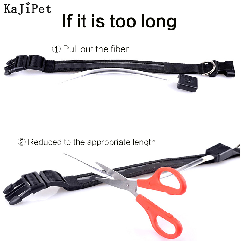 محفورة معرف LED طوق بكلاب مضيئ - مراجعة Reflective Dog Collar Personalized Engraved وسعره