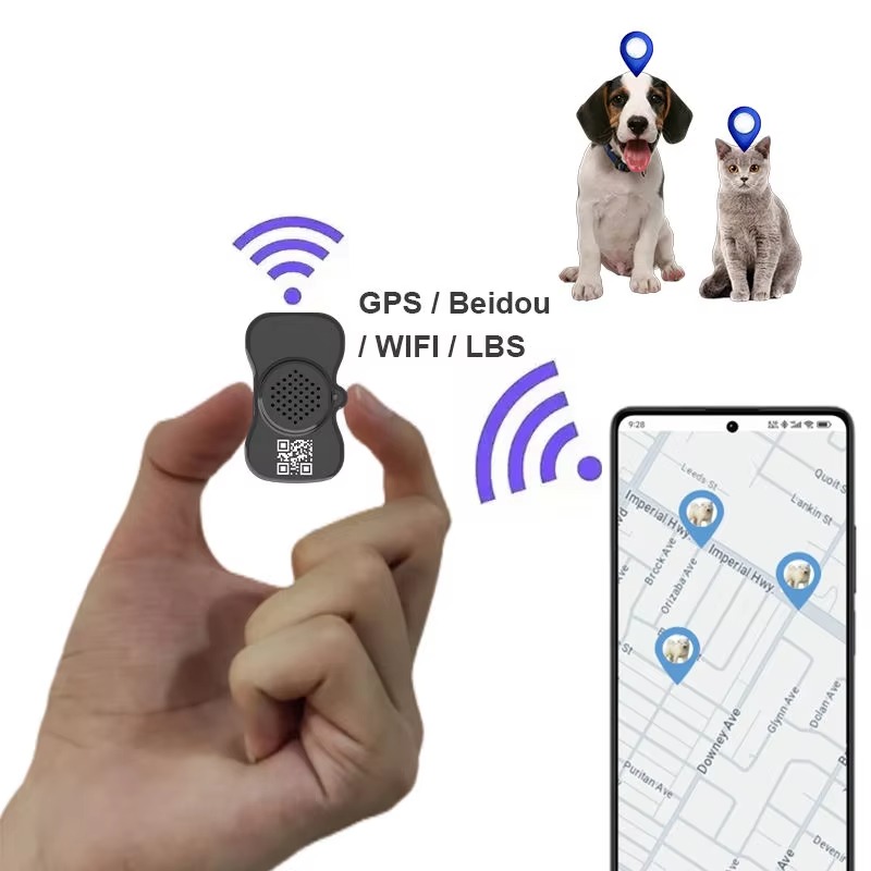 جهاز تتبع الحيوانات الأليفة ال - مراجعة Dog Gps Tracker Collar 4G Waterproof وسعره