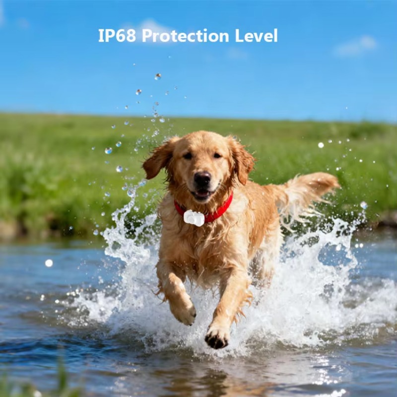 جهاز تتبع الحيوانات الأليفة ال - مراجعة Dog Gps Tracker Collar 4G Waterproof وسعره