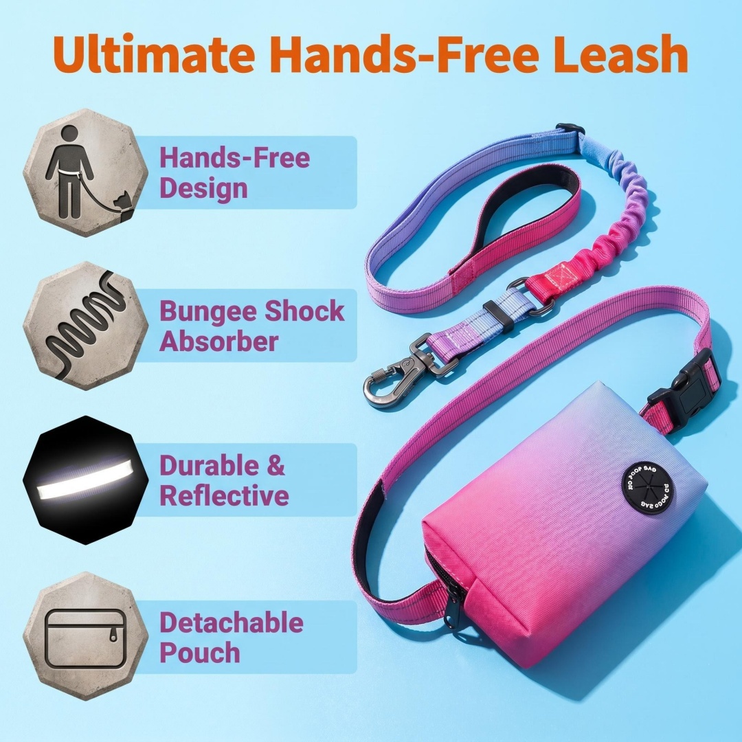 حبل توجيه للكلاب بدون استخدام  - مراجعة Bungee Dog Leash Shock Absorbing وسعره
