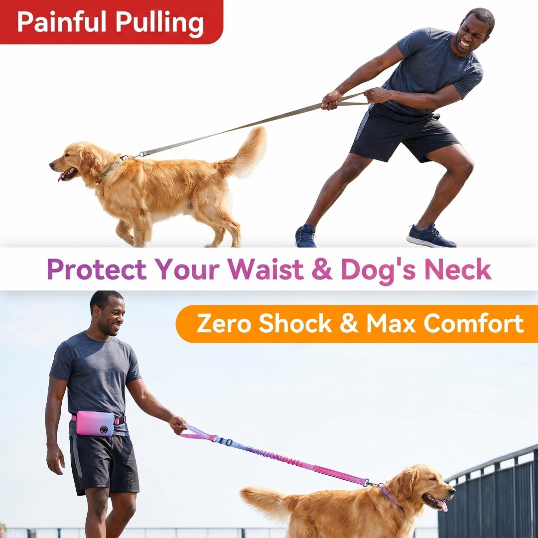 حبل توجيه للكلاب بدون استخدام  - مراجعة Bungee Dog Leash Shock Absorbing وسعره