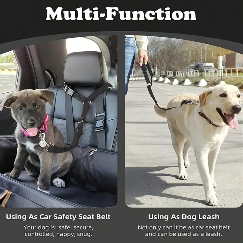 حزام أمان للكلاب في السيارة، ح - مراجعة Dog Seat Belt Harness Safety Tether وسعره