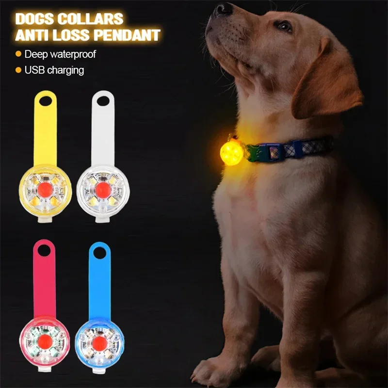 مقاوم للماء USB قابلة للشحن LE - مراجعة Led Dog Collar Glowing Rechargeable Usb وسعره