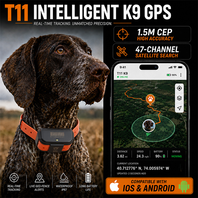 جهاز تتبع T11 4G GPS للكلاب، ط - مراجعة Dog Gps Tracker Collar 4G Waterproof وسعره