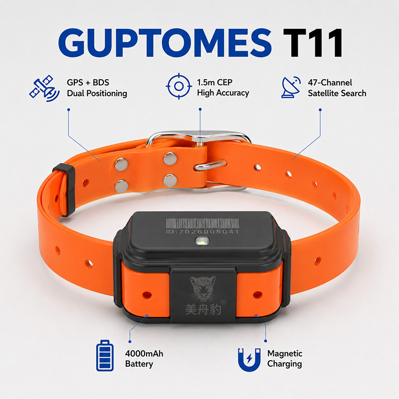 جهاز تتبع T11 4G GPS للكلاب، ط - مراجعة Dog Gps Tracker Collar 4G Waterproof وسعره