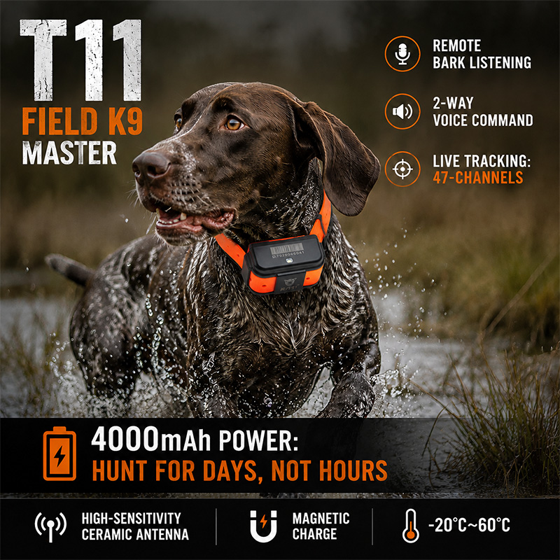 جهاز تتبع T11 4G GPS للكلاب، ط - مراجعة Dog Gps Tracker Collar 4G Waterproof وسعره