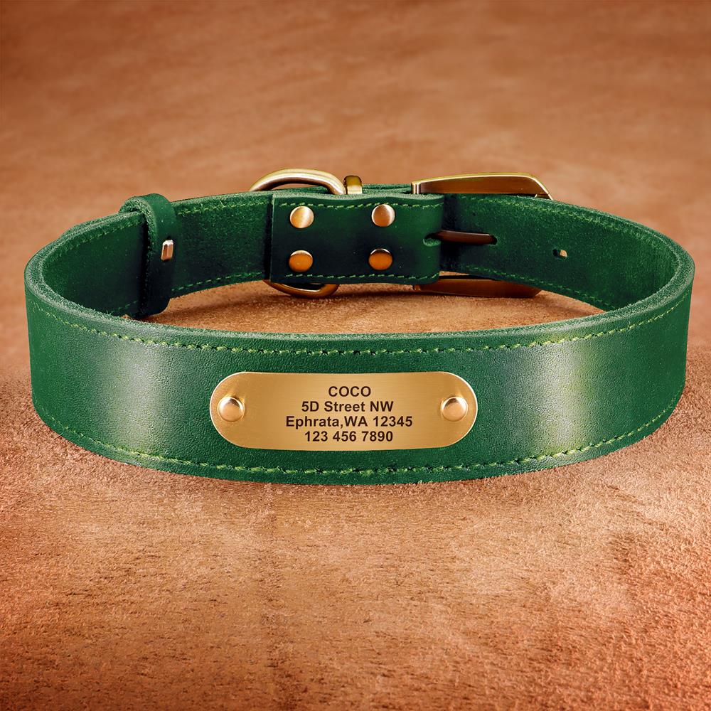مخصص الجلود طوق بكلاب بيتبول ش - مراجعة Reflective Dog Collar Personalized Engraved وسعره