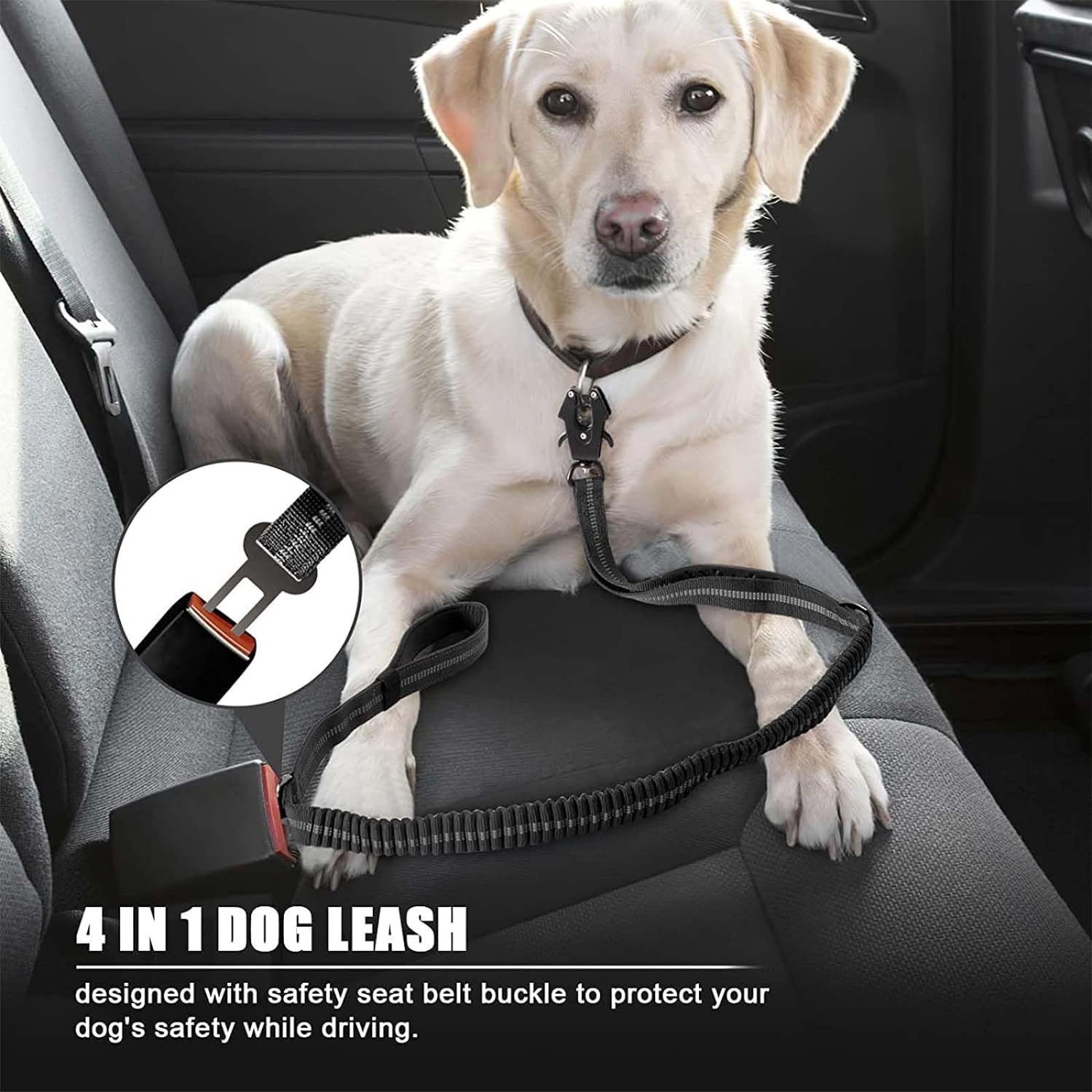 عاكس امتصاص الصدمات الحيوانات  - مراجعة Bungee Dog Leash Shock Absorbing وسعره