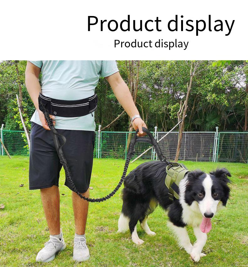 مقود الكلب بدون استخدام اليدين - مراجعة Hands Free Dog Running Leash Waist Belt وسعره