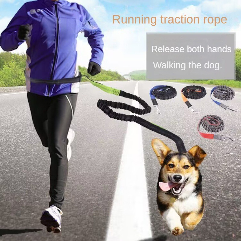 حزام مشي للكلاب بدون استخدام ا - مراجعة Hands Free Dog Running Leash Waist Belt وسعره