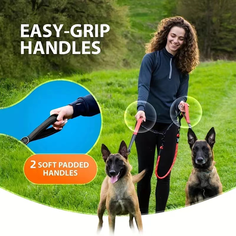 وصلة مقود الكلاب المزدوجة - مق - مراجعة Bungee Dog Leash Shock Absorbing وسعره