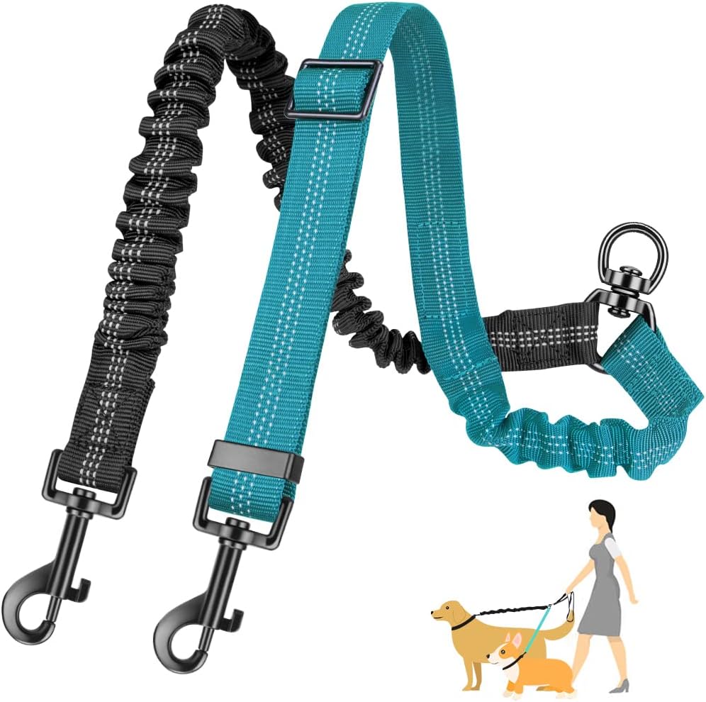 مقود كلب مزدوج بطول 1.6 قدم، م - مراجعة Bungee Dog Leash Shock Absorbing وسعره