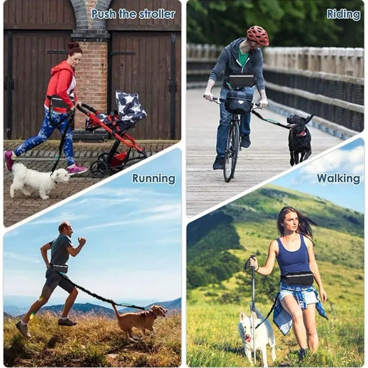 مقود الكلب بدون استخدام اليدين - مراجعة Hands Free Dog Running Leash Waist Belt وسعره