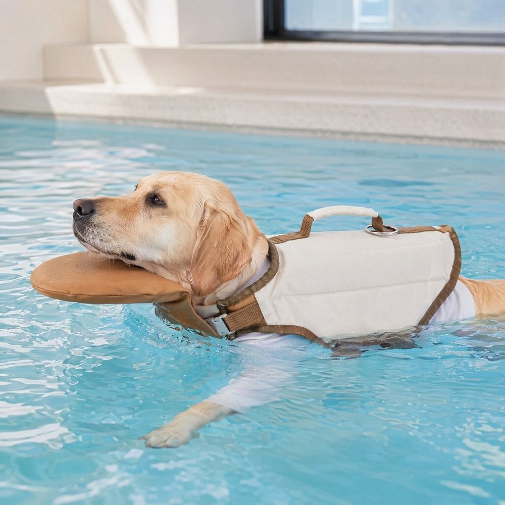 سترة نجاة قابلة للتعديل للكلاب - مراجعة Dog Life Jacket Vest Buoyancy Handle وسعره