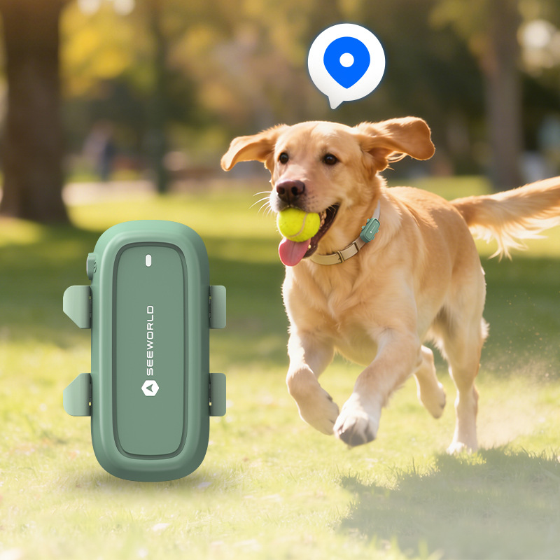 طوق GPS للكلاب - جهاز تتبع للح - مراجعة Dog Gps Tracker Collar 4G Waterproof وسعره
