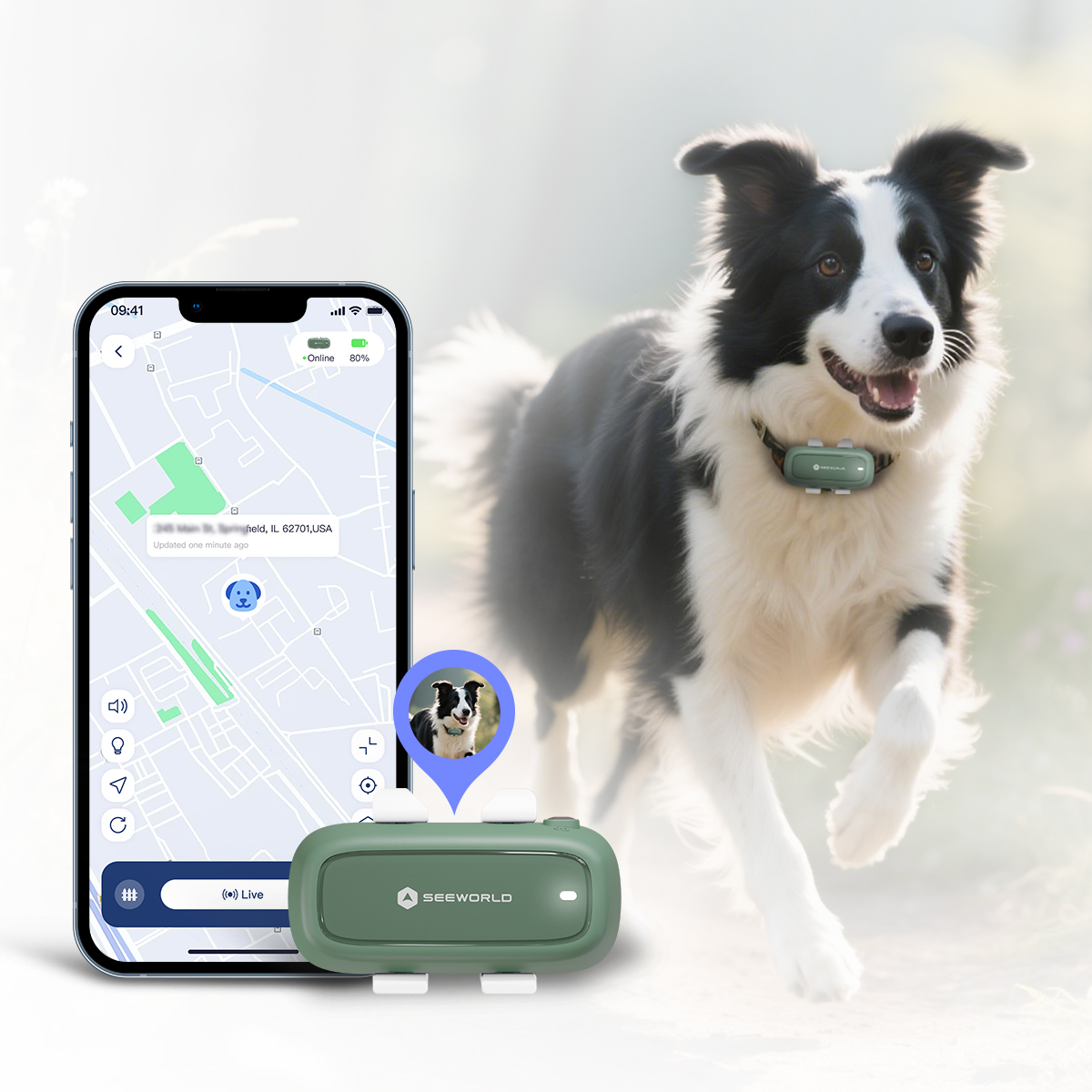 طوق GPS للكلاب - جهاز تتبع للح - مراجعة Dog Gps Tracker Collar 4G Waterproof وسعره